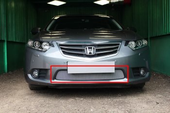 3 199 р. Защитная сетка в бампер (низ, ячейка 3х7 мм) Alfeco Стандарт  Honda Accord ( 8 CU,  8 CW) (2011-2013) седан рестайлинг, универсал рестайлинг (Хром)  с доставкой в г. Горно‑Алтайск. Увеличить фотографию 1