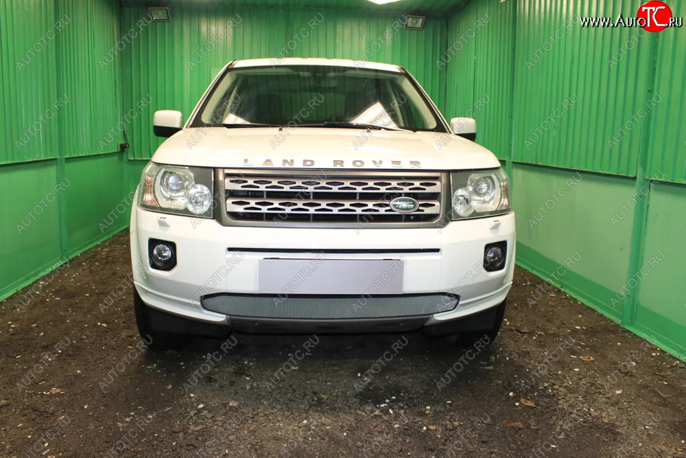 3 999 р. Защитная сетка в бампер (низ, ячейка 3х7 мм) Alfeco Стандарт  Land Rover Freelander  L359 (2010-2012) 1-ый рестайлинг (Хром)  с доставкой в г. Горно‑Алтайск