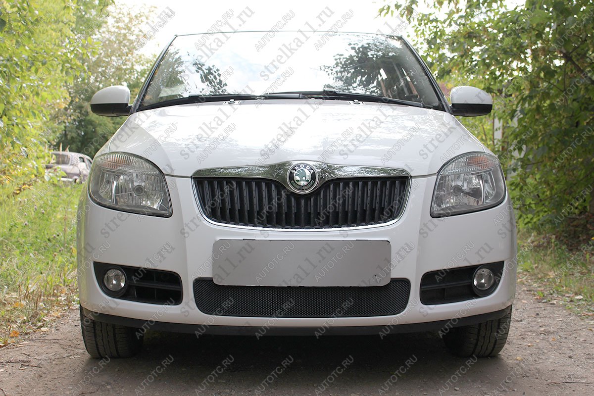 2 689 р. Защита радиатора Стрелка11 Стандарт  Skoda Fabia  Mk2 (2007-2010) универсал дорестайлинг, хэтчбэк дорестайлинг (черная)  с доставкой в г. Горно‑Алтайск