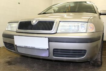 Защита радиатора Стрелка11 Стандарт Skoda (Шкода) Octavia (Октавия) ( Tour A4 1U2,  Tour A4 1U5) (2000-2010) Tour A4 1U2, Tour A4 1U5 лифтбэк рестайлинг, универсал рестайлинг  (хром)