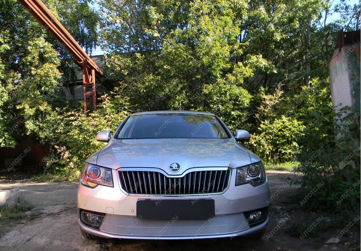 5 399 р. Защита радиатора Стрелка11 PREMIUM  Skoda Superb ( (B6) 3T,  B6 (3T5)) (2013-2015) лифтбэк рестайлинг, универсал рестайлинг (хром)  с доставкой в г. Горно‑Алтайск