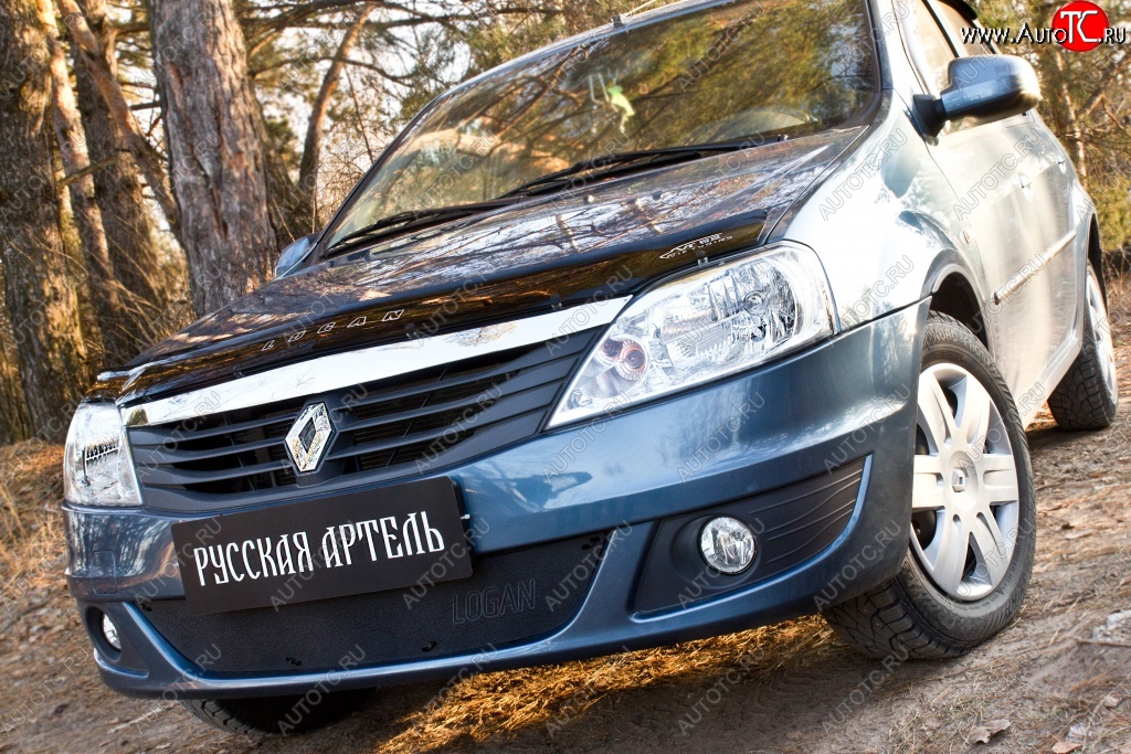 969 р. Защитная сетка решетки переднего бампера РА Renault Logan 1 рестайлинг (2010-2016)  с доставкой в г. Горно‑Алтайск