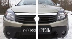 2 149 р. Защитная сетка решетки переднего бампера РА Renault Sandero Stepway (BS) (2010-2014)  с доставкой в г. Горно‑Алтайск. Увеличить фотографию 2