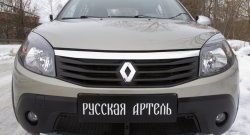 2 149 р. Защитная сетка решетки переднего бампера РА Renault Sandero Stepway (BS) (2010-2014)  с доставкой в г. Горно‑Алтайск. Увеличить фотографию 3