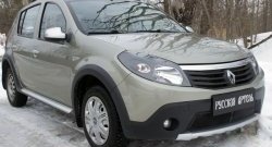 2 149 р. Защитная сетка решетки переднего бампера РА Renault Sandero Stepway (BS) (2010-2014)  с доставкой в г. Горно‑Алтайск. Увеличить фотографию 4