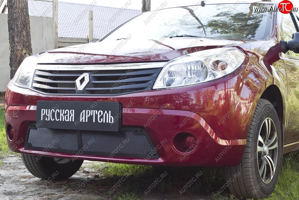 1 799 р. Защитная сетка решетки переднего бампера РА Renault Sandero (BS) (2009-2014)  с доставкой в г. Горно‑Алтайск