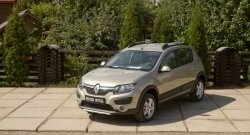 4 099 р. Молдинги дверей RA (комплект)  Renault Sandero  (B8) - Sandero Stepway  (B8) (Поверхность глянец (под окраску), Неокрашенные)  с доставкой в г. Горно‑Алтайск. Увеличить фотографию 2