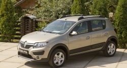 4 099 р. Молдинги дверей RA (комплект)  Renault Sandero  (B8) - Sandero Stepway  (B8) (Поверхность глянец (под окраску), Неокрашенные)  с доставкой в г. Горно‑Алтайск. Увеличить фотографию 3