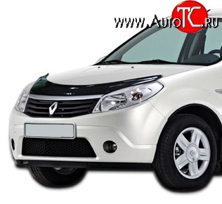 2 699 р. Дефлектор капота NovLine Renault Sandero Stepway (BS) (2010-2014)  с доставкой в г. Горно‑Алтайск