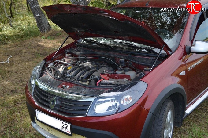 2 969 р. Упор капота Sport. Renault Sandero (BS) (2009-2014)  с доставкой в г. Горно‑Алтайск