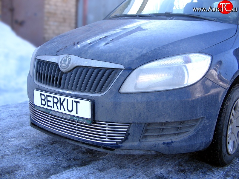 5 899 р. Декоративная вставка воздухозаборника Berkut Skoda Fabia Mk2 универсал дорестайлинг (2007-2010)  с доставкой в г. Горно‑Алтайск