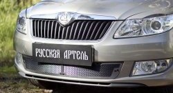 Защитная сетка решетки переднего бампера РА Skoda Fabia Mk2 универсал рестайлинг (2010-2014)