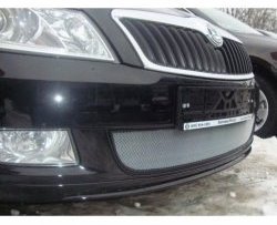 Сетка на бампер (рестайлинг) Russtal (хром) Skoda (Шкода) Fabia (Фабия)  Mk2 (2007-2010) Mk2 универсал дорестайлинг, хэтчбэк дорестайлинг