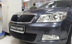 1 469 р. Сетка на бампер Russtal (черная) Skoda Octavia A5 рестайлинг универсал (2008-2013)  с доставкой в г. Горно‑Алтайск. Увеличить фотографию 2