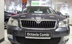 1 469 р. Сетка на бампер Russtal (черная) Skoda Octavia A5 рестайлинг универсал (2008-2013)  с доставкой в г. Горно‑Алтайск. Увеличить фотографию 3