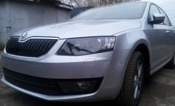 2 569 р. Сетка (для комплектации Ambition, Elegance) на бампер Russtal (черная)  Skoda Octavia  A7 (2012-2017) дорестайлинг лифтбэк, дорестайлинг универсал  с доставкой в г. Горно‑Алтайск. Увеличить фотографию 2