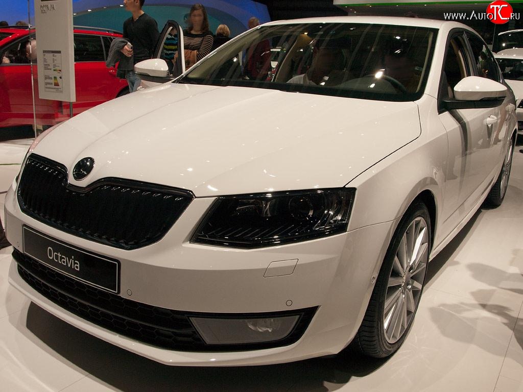 2 569 р. Сетка (для комплектации Ambition, Elegance) на бампер Russtal (черная)  Skoda Octavia  A7 (2012-2017) дорестайлинг лифтбэк, дорестайлинг универсал  с доставкой в г. Горно‑Алтайск