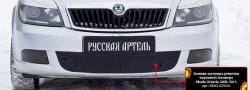 1 059 р. Зимняя заглушка решетки переднего бампера РА Skoda Octavia A5 рестайлинг универсал (2008-2013)  с доставкой в г. Горно‑Алтайск. Увеличить фотографию 2