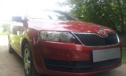 2 339 р. Сетка на бампер Russtal (черная) Skoda Rapid NH3 дорестайлинг лифтбэк (2012-2017)  с доставкой в г. Горно‑Алтайск. Увеличить фотографию 3