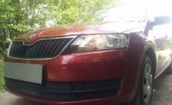 2 339 р. Сетка на бампер Russtal (черная) Skoda Rapid NH3 дорестайлинг лифтбэк (2012-2017)  с доставкой в г. Горно‑Алтайск. Увеличить фотографию 1