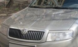 1 649 р. Реснички на фары CT Skoda Superb седан 3U дорестайлинг (2001-2006) (Неокрашенные)  с доставкой в г. Горно‑Алтайск. Увеличить фотографию 2