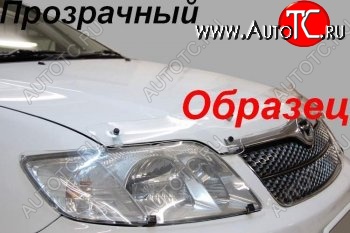 2 079 р. Защита фар (J120-J125) CA-Plastic  Toyota Land Cruiser Prado  J120 (2002-2009) (Classic прозрачный)  с доставкой в г. Горно‑Алтайск