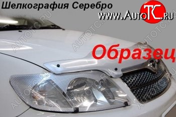 2 299 р. Защита фар (J120-J125) CA-Plastic  Toyota Land Cruiser Prado  J120 (2002-2009) (Шелкография серебро)  с доставкой в г. Горно‑Алтайск