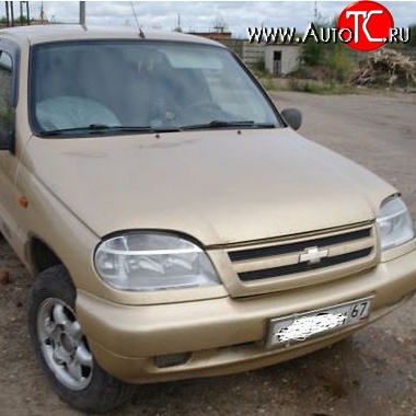 22 449 р. Капот Стандартный Chevrolet Niva 2123 дорестайлинг (2002-2008) (Окрашенная)  с доставкой в г. Горно‑Алтайск